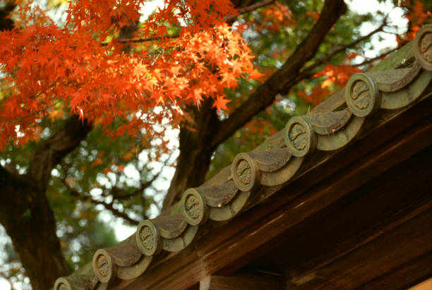 istock Autumn leaves and a tiled roof 844942472