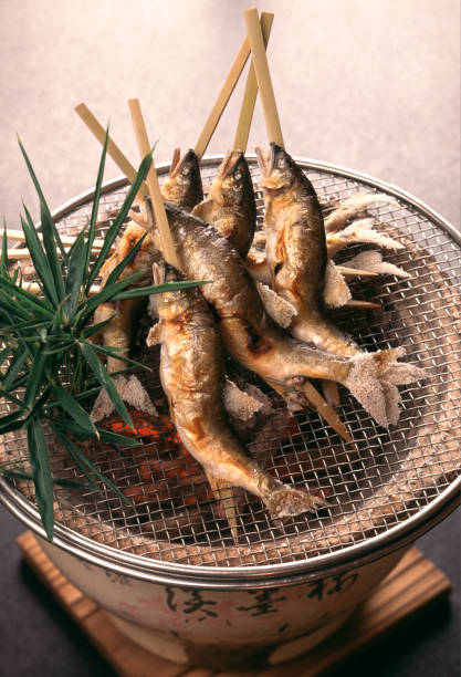 은어 이미지 스톡 사진 및 일러스트 - iStock