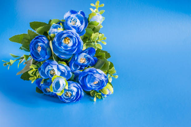 Violet flowers on a cobalt blue background