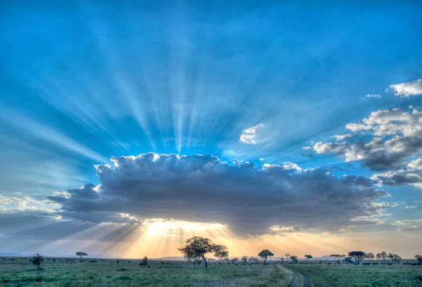 Africa, Tanzania Serengeti National Park sunset