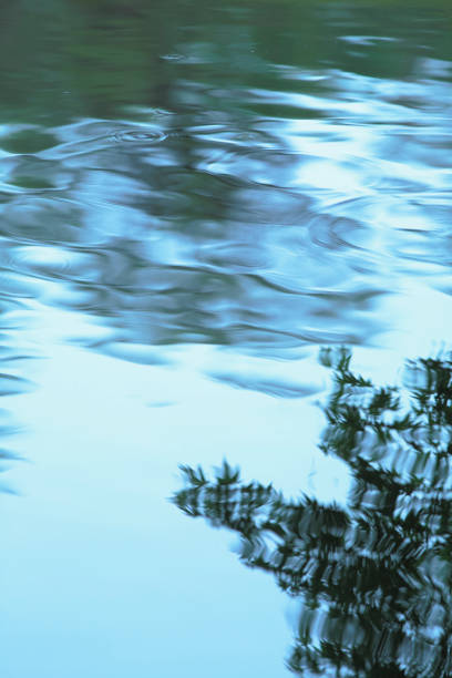 istock Surface of the water 844953574