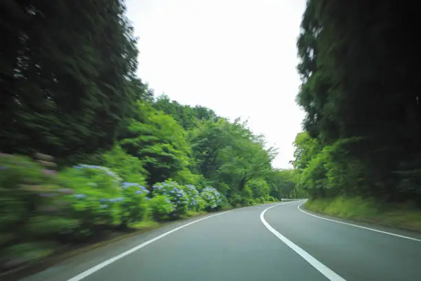 The view from the car window