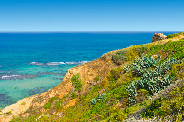 istock Dunes of the Mediterranean sea 844963048
