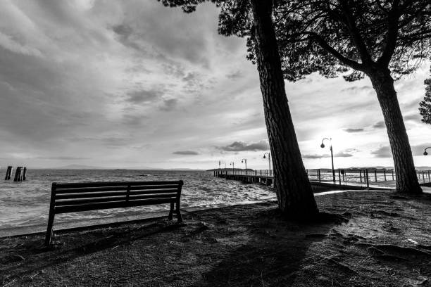 View of a lake at sunset, with sitting bench, trees and shadows