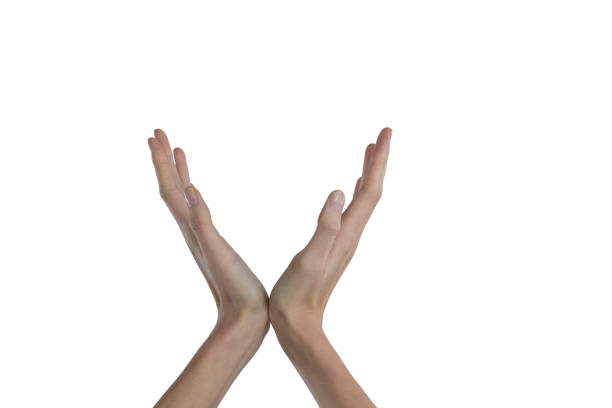 istock Female executive pretending to hold invisible object 844995632