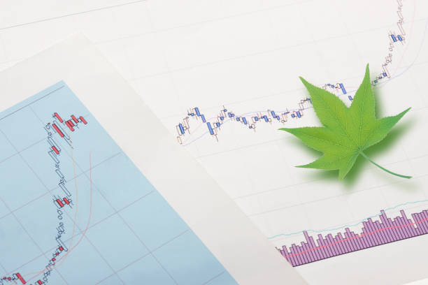 Asia Pacific Legal Cannabis Market Dynamics: Regional Breakdown and Analysis Asia Pacific Legal Cannabis Market Dynamics: Regional Breakdown and Analysis