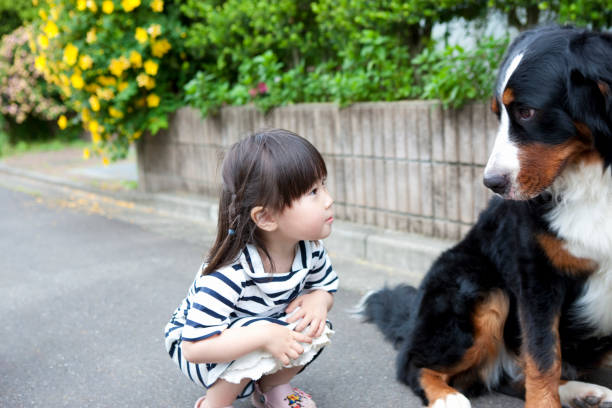 istock Girl playing with dog 845006882