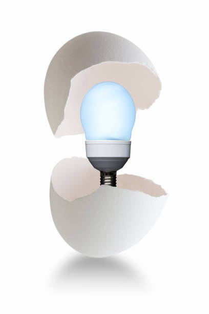 電球と卵の殻 - light lighting equipment new life beginnings ストックフォトと画像
