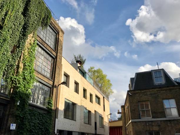 istock Ivy covered building in London 845017470