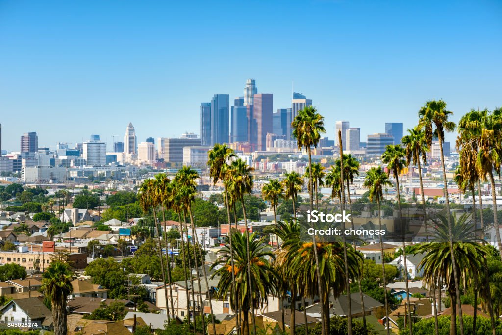 Los Angeles downtown Los Angeles, California, USA downtown skyline and palm trees in foreground City Of Los Angeles Stock Photo
