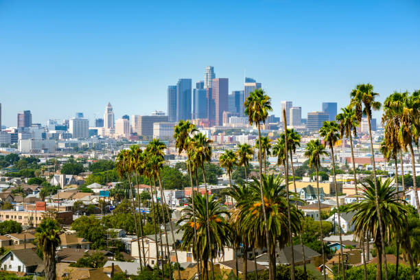 Los Angeles downtown Los Angeles, California, USA downtown skyline and palm trees in foreground los angeles county stock pictures, royalty-free photos & images