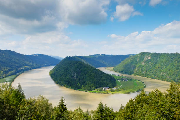 Schlögener Schlinge, Curve at river Danube, Upperaustria Schlögener Schlinge, Curve at the river Danube with dramatic sky, Austria danube valley stock pictures, royalty-free photos & images