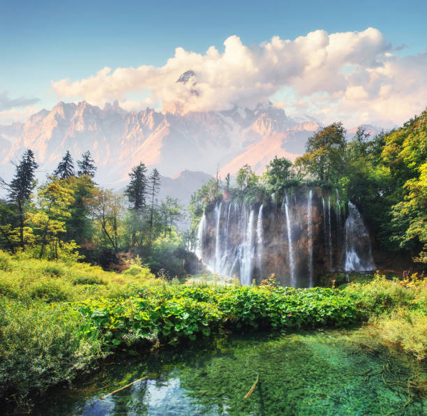 фотография рыб, плавающих в озере, сделанная в национальном парке plitvice croatia - plitvice lakes national park water lake national park стоковые фото и изображения