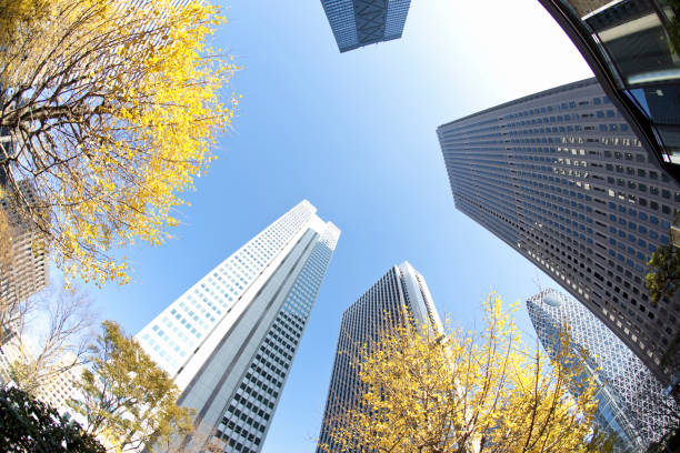 istock Skyscrapers in Shinjuku 845035256