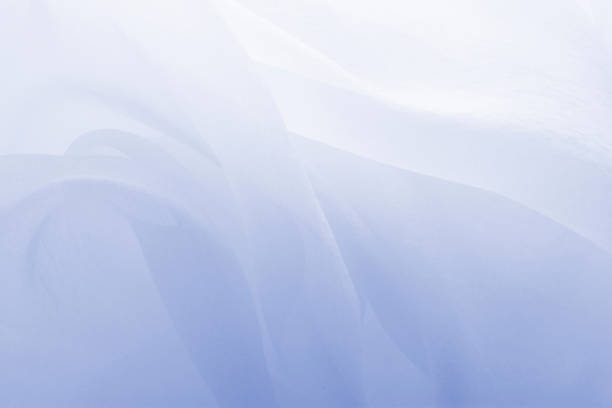 race.jpg?s=612x612&w=0&k=20&c=UILyT7W-L-WNRE5yLhwLfkXLrG4vBcuC5OLikwMEovI=