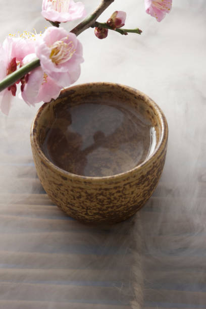 istock Sake and plum flowers 845053422