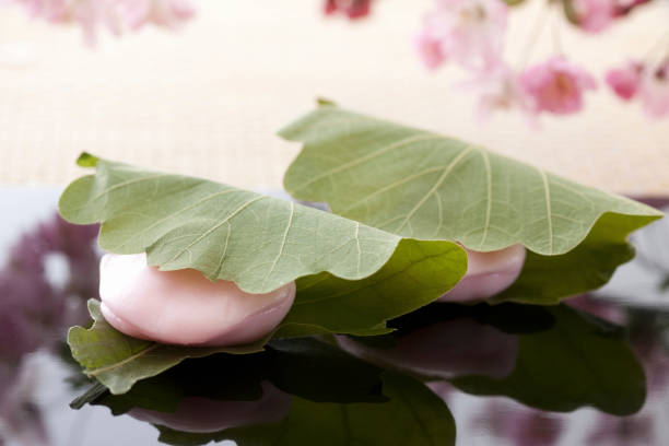 Stadt Kashiwa Fotos Bilder und Stockfotos iStock