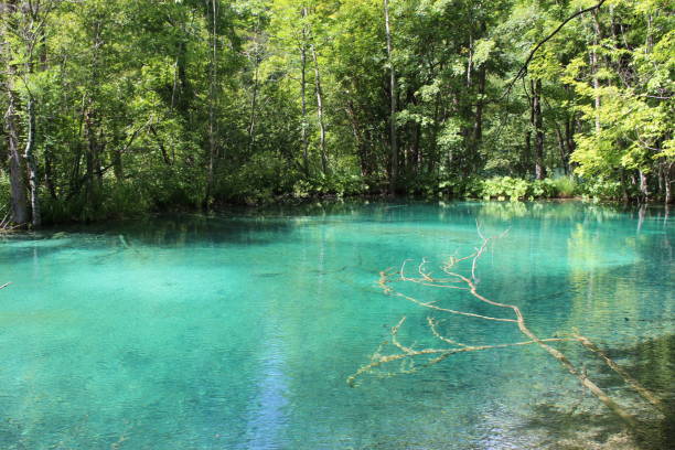 istock Plitvice Lake County National Park 845062796