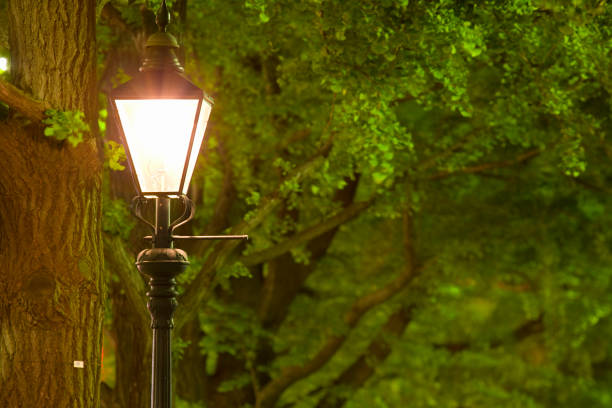 lampade a gas yamashita park street e file di alberi di ginkgo - accendino a gas foto e immagini stock