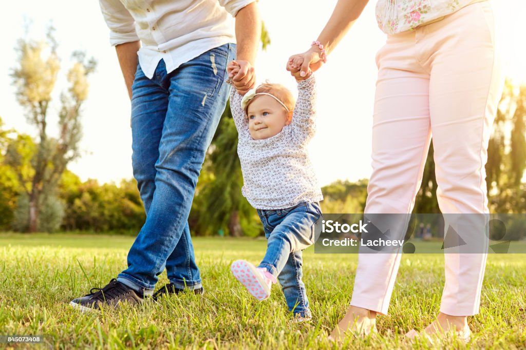 The first steps of the baby.  A happy family. The first steps of the baby. Parents are teaching their child to walk. A happy family. Baby - Human Age Stock Photo