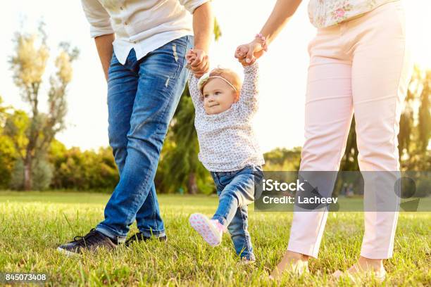 The First Steps Of The Baby A Happy Family Stock Photo - Download Image Now - Baby - Human Age, Walking, Parent