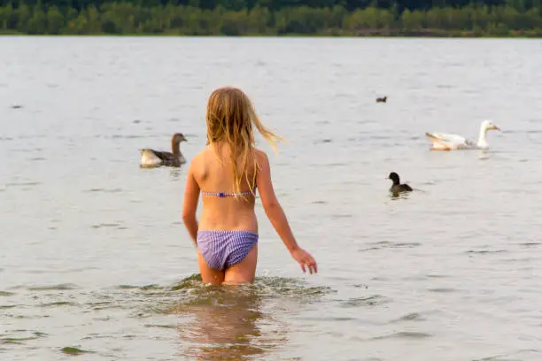 Photo of girl with wild geese at the beach