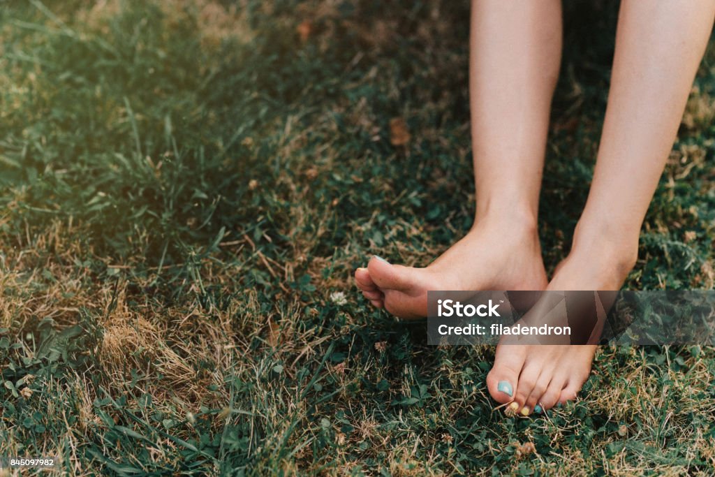 Bare feet on a meadow Woman's bare feet on a meadow outdoors. Grass Stock Photo