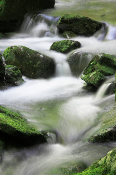 istock Akame 48 waterfalls ravine 845103080