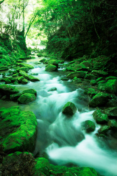 istock Akame 48 waterfalls ravine 845103220