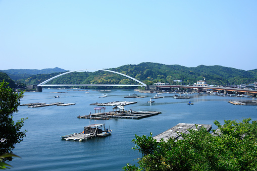 ASO's Banpo bridge