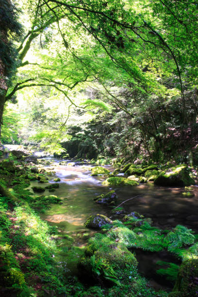 istock Akame 48 waterfalls ravine 845103868