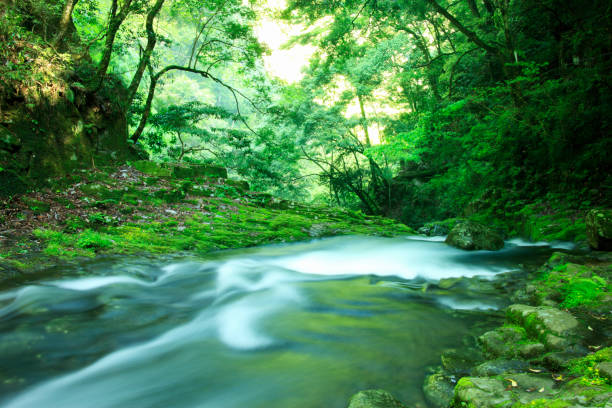 istock Akame 48 waterfalls ravine 845106672