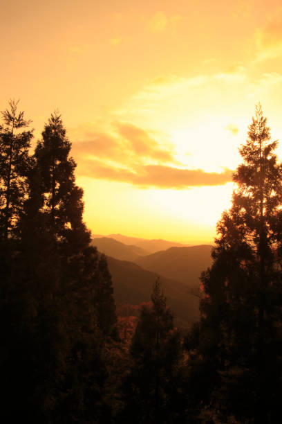 istock Mountains of Mt. koya and Takano Cedar 845116052