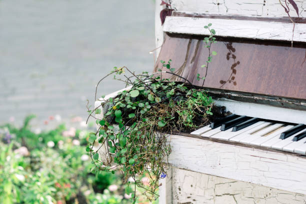 istock old piano as a flower bed 845121018
