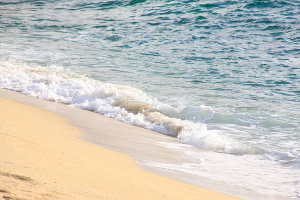 istock Nagata country beach 845121358