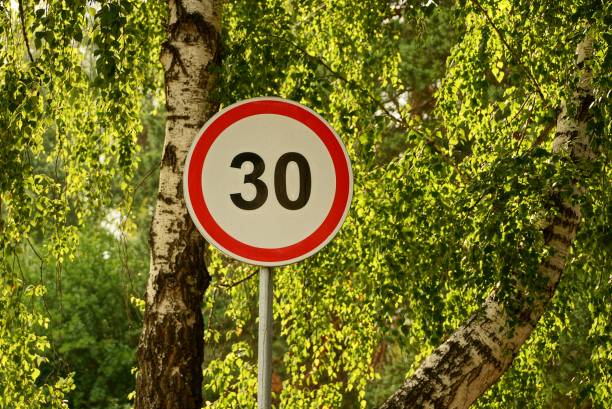 istock Road sign speed limit near a birch tree road 845125170