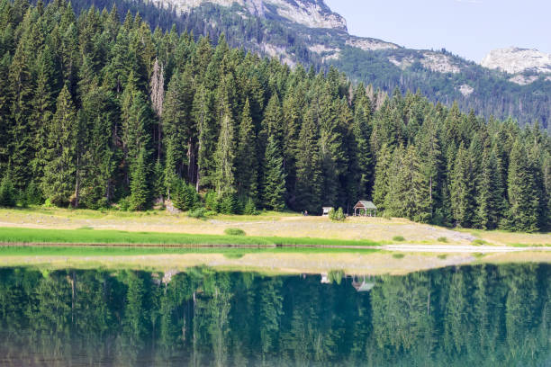 istock Black Lake on Durmitor Mountain in Montenegro 845125576