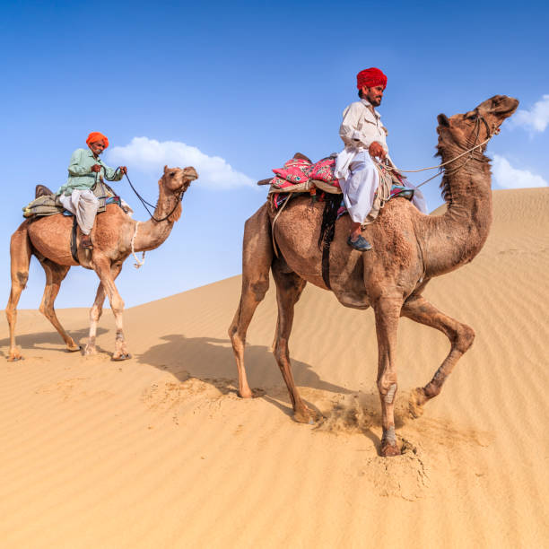 istock Indian men riding camels on sand dunes, Rajasthan, India 845129088