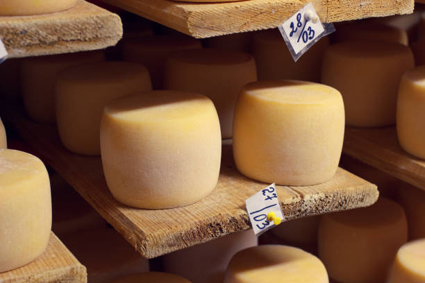 istock Natural cheese factory aging cellar 845141788