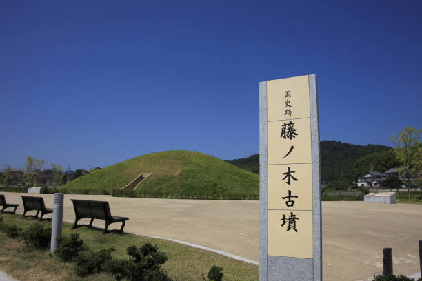 istock Fujiwara-no-wood mounds 845142384