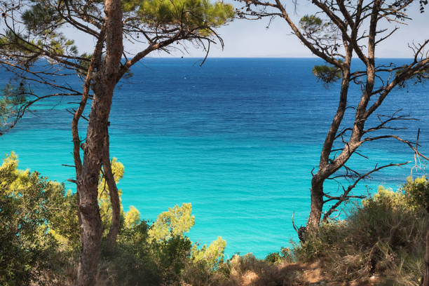 coastal landscape in Cap de Creus National Park in Catalonia at the easternmost point of the Iberian Peninsula; Cap de Creus, Spain