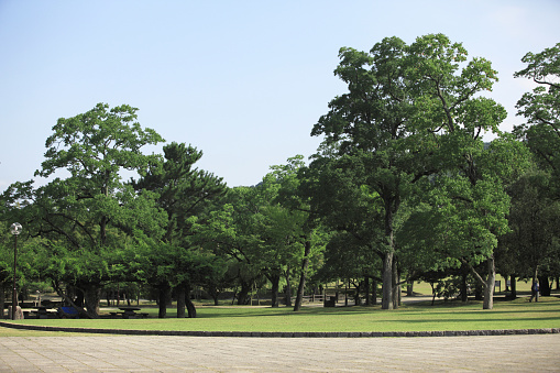 NARA Park