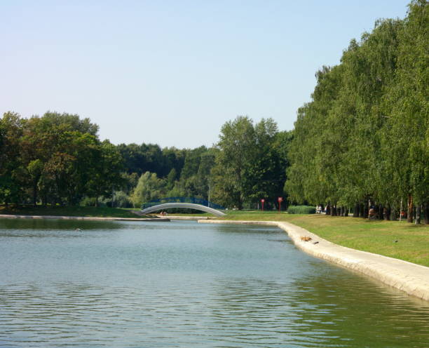 istock summer in city park 845146958