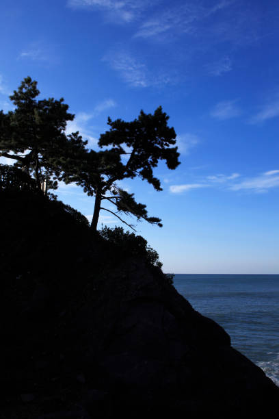 istock Katsura Beach Sunrise 845153064