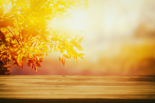 istock Empty table in front of blurry autumn background. Ready for product display montage 845154616