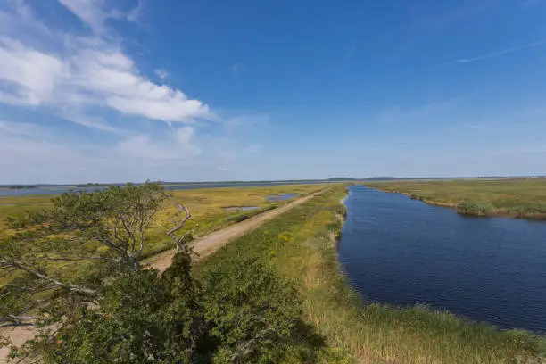 Saltwater marsh at Parker River National Wildlife Refuge on Plum Island in Newburyport, MA. Taken from observation tower.