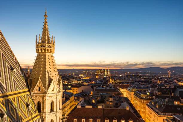 la cathédrale et vue aérienne sur vienne dans la nuit - stephansplatz photos et images de collection