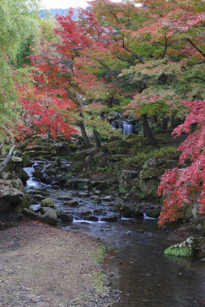 istock Autumn in Nara 845163860