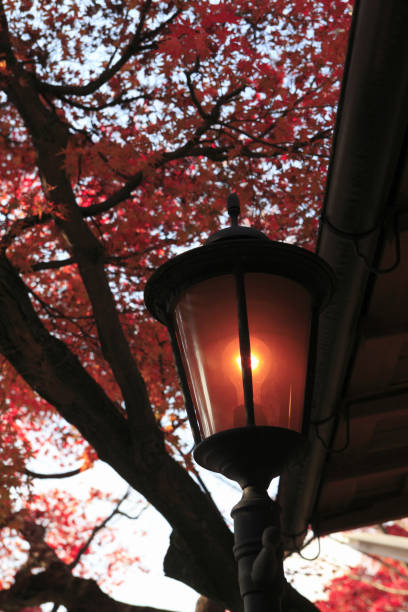 istock Autumn colors, Kyoto 845168182