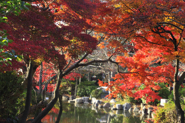 istock Autumn colors, Kyoto 845168444